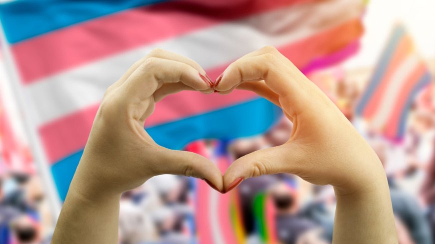 How to Be a Better Ally to the Trans Community